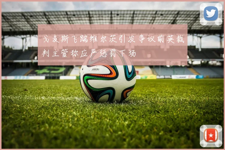 戈麦斯飞踹维尔茨引发争议前英裁判主管称应严惩罚下场
