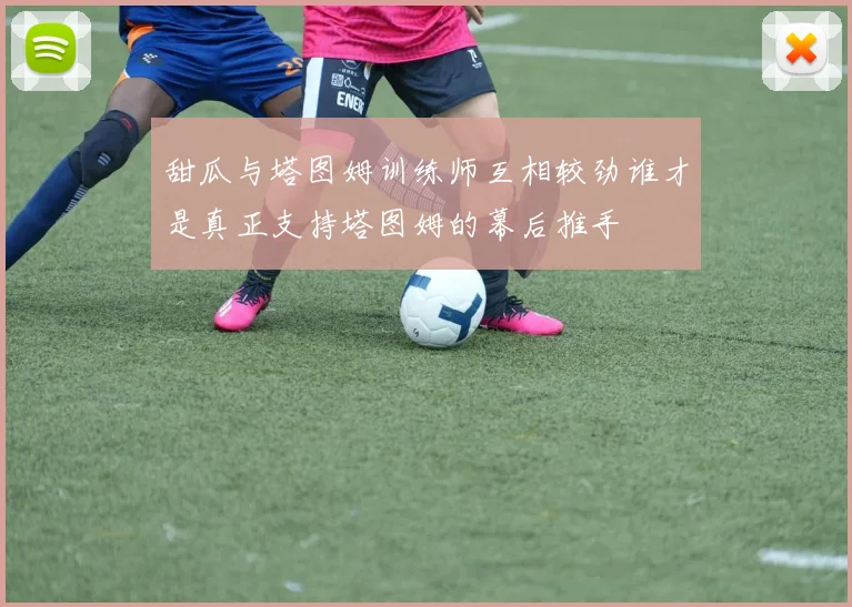 甜瓜与塔图姆训练师互相较劲谁才是真正支持塔图姆的幕后推手